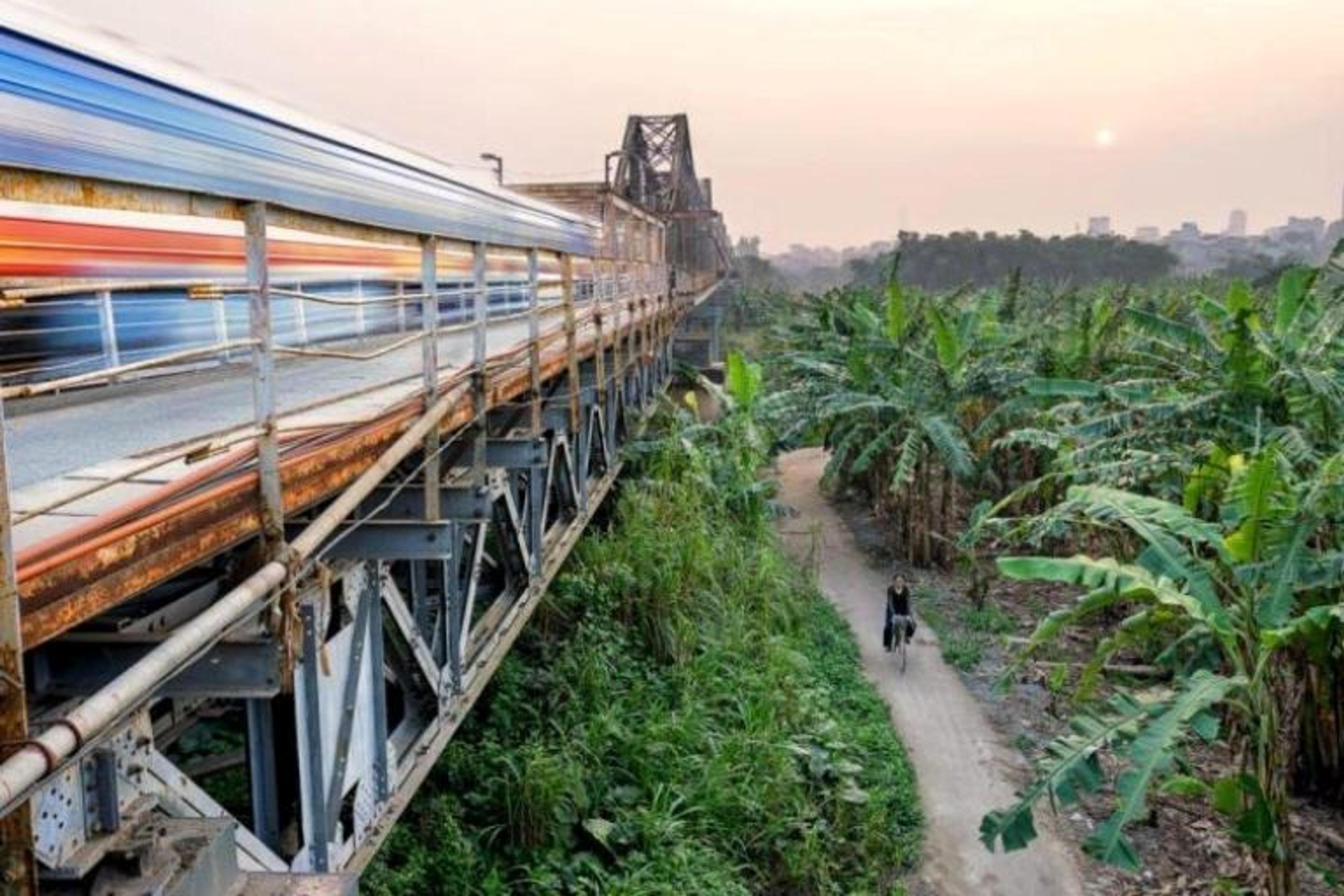Train whizzing above tropical trees