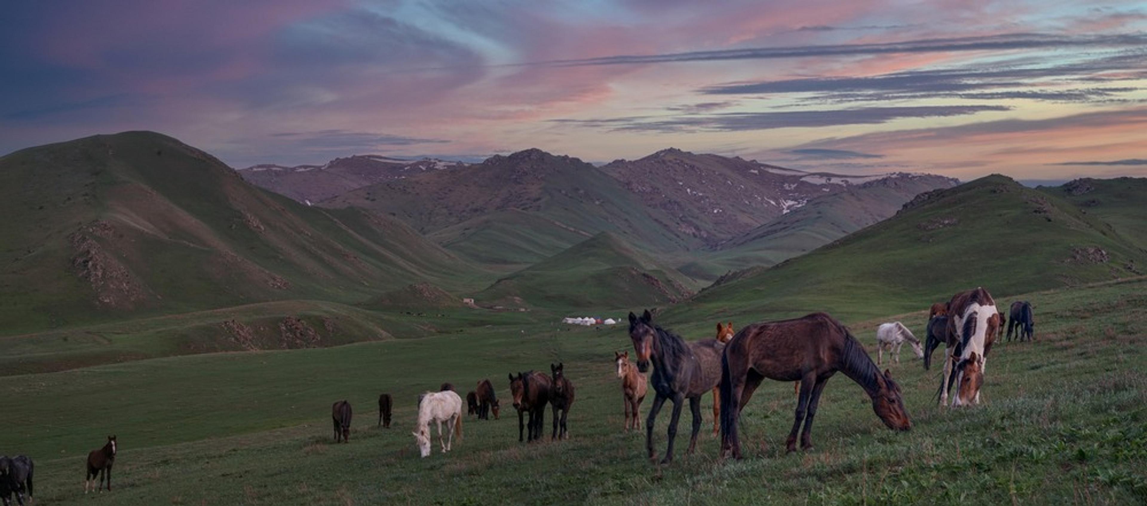 Off the Grid in Kyrgyzstan & Searching for the Next Great Canadian Road Trip