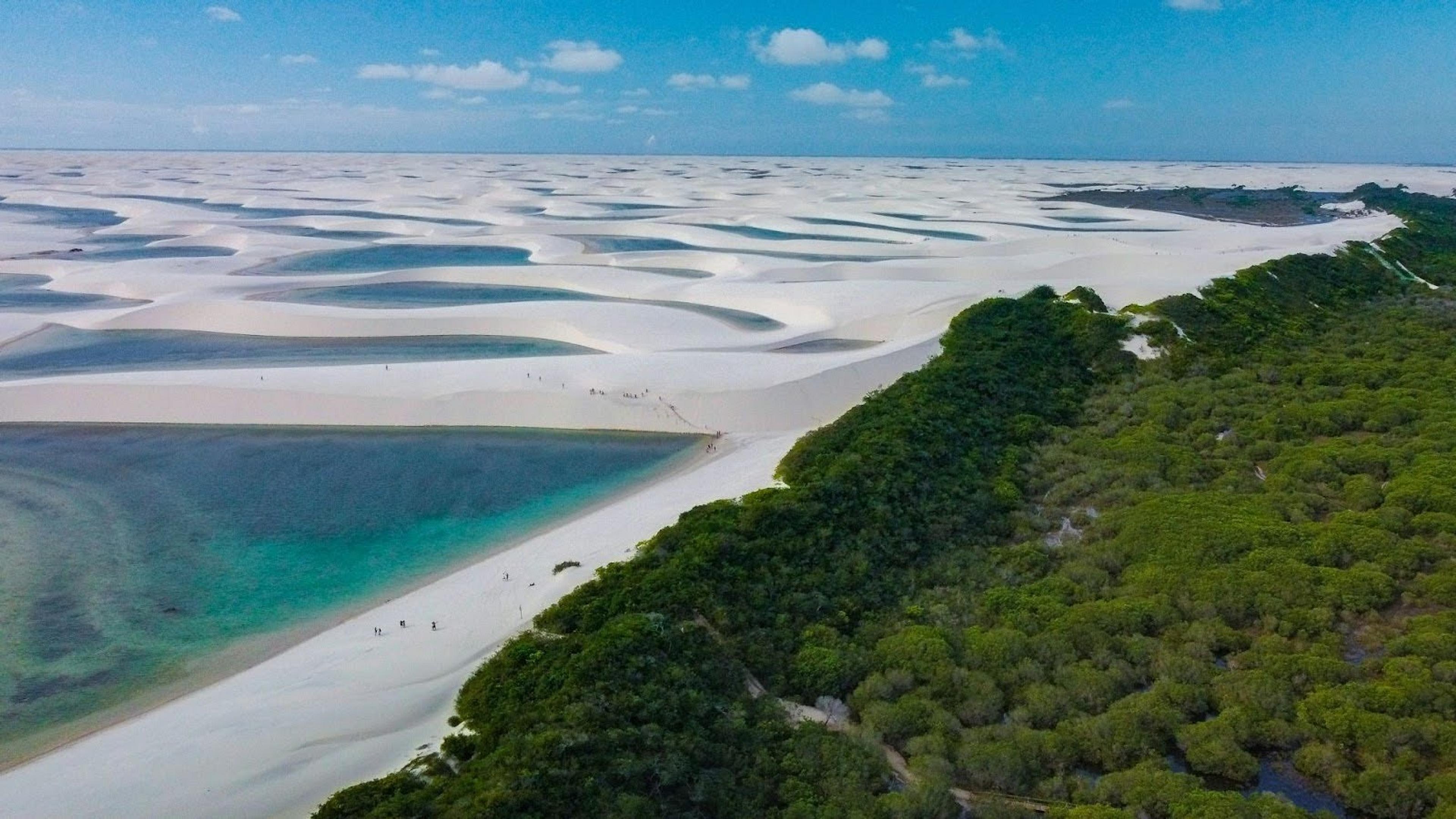 Desert with green trees and a lagoon