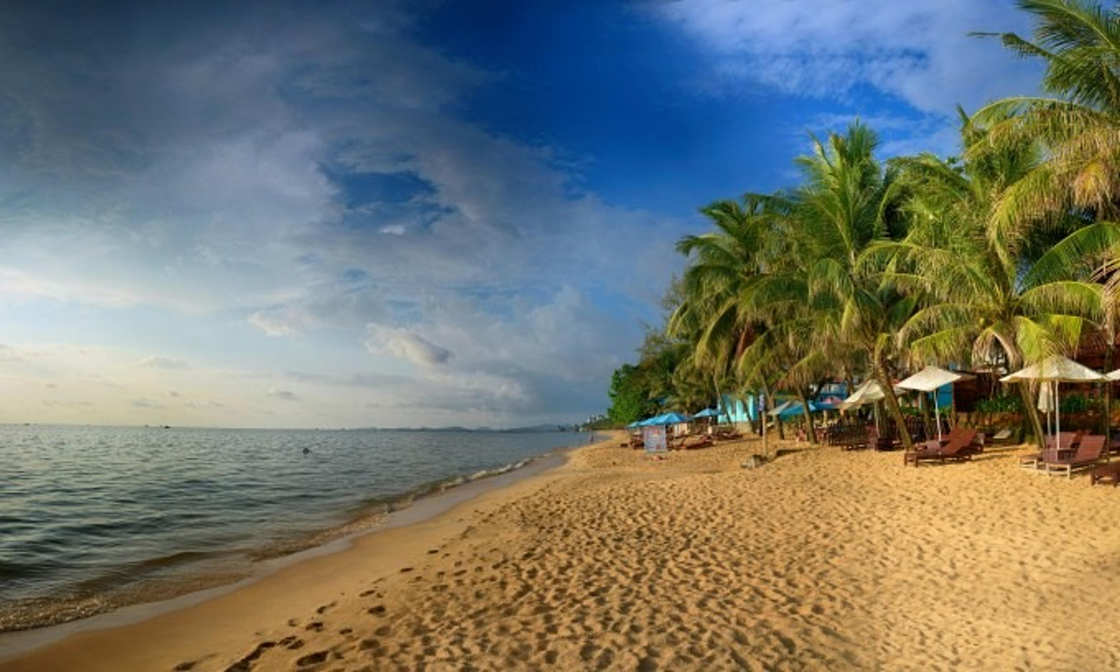 Sandy beach with palm trees and recliners