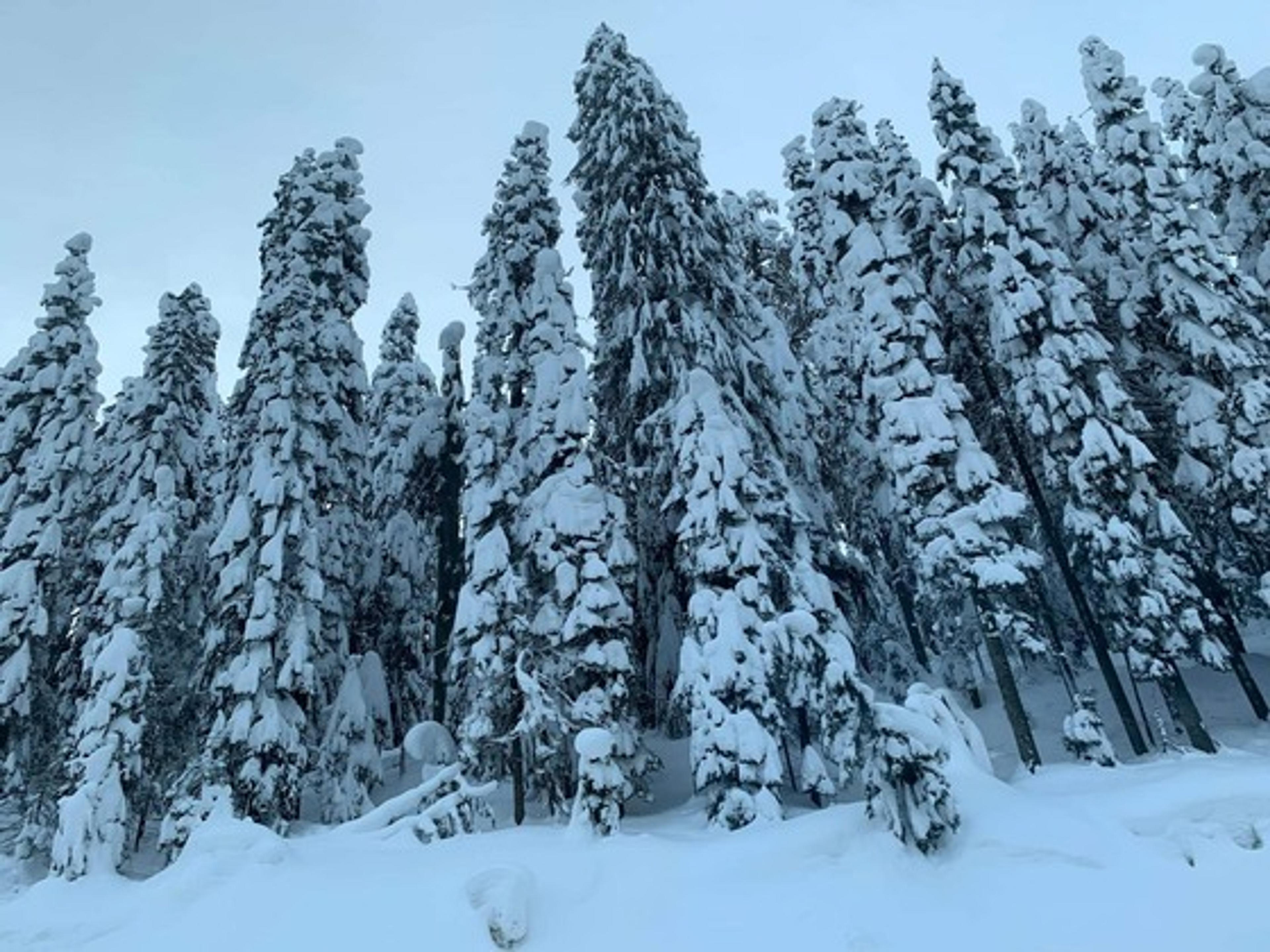 From Australia to Kyrgyzstan, the Pyrenees, and beyond - recommendations from the JFC team  