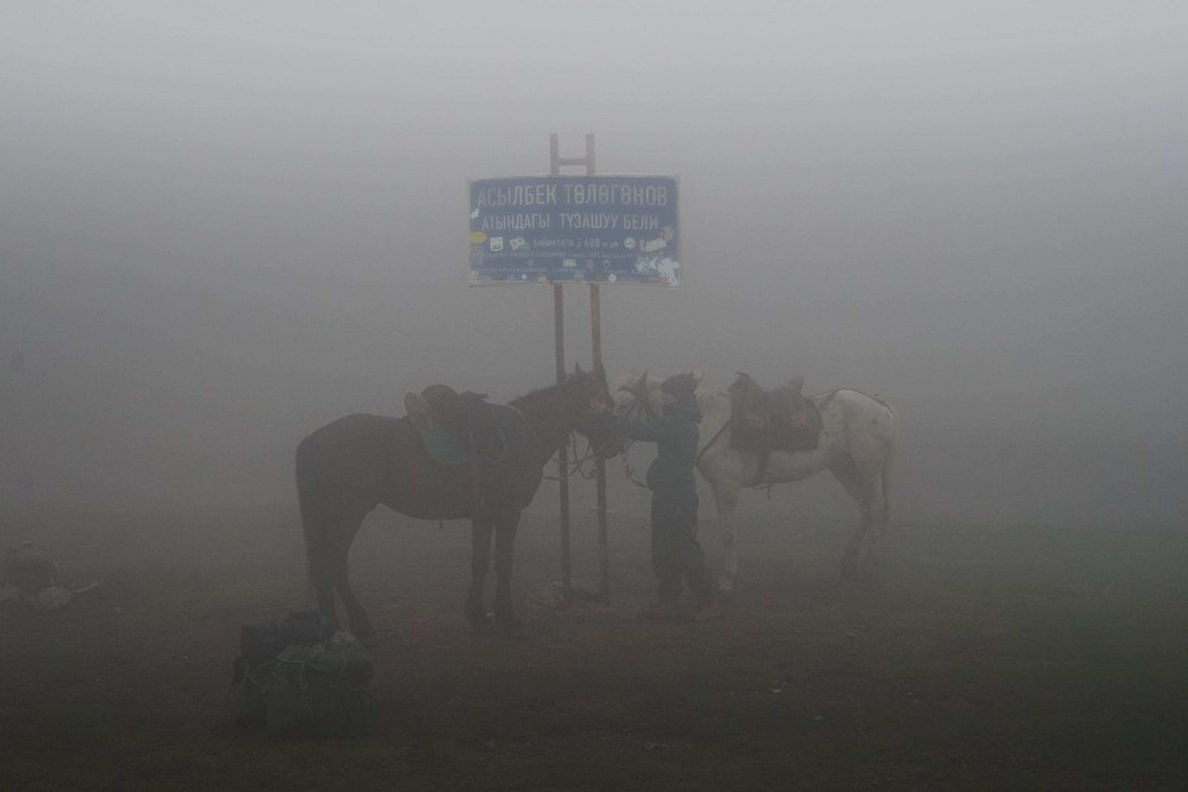 Asylbek Töleubayev mountain pass in Kyrgyzstan, featuring Flight Finder Kash with horses in the dense fog.