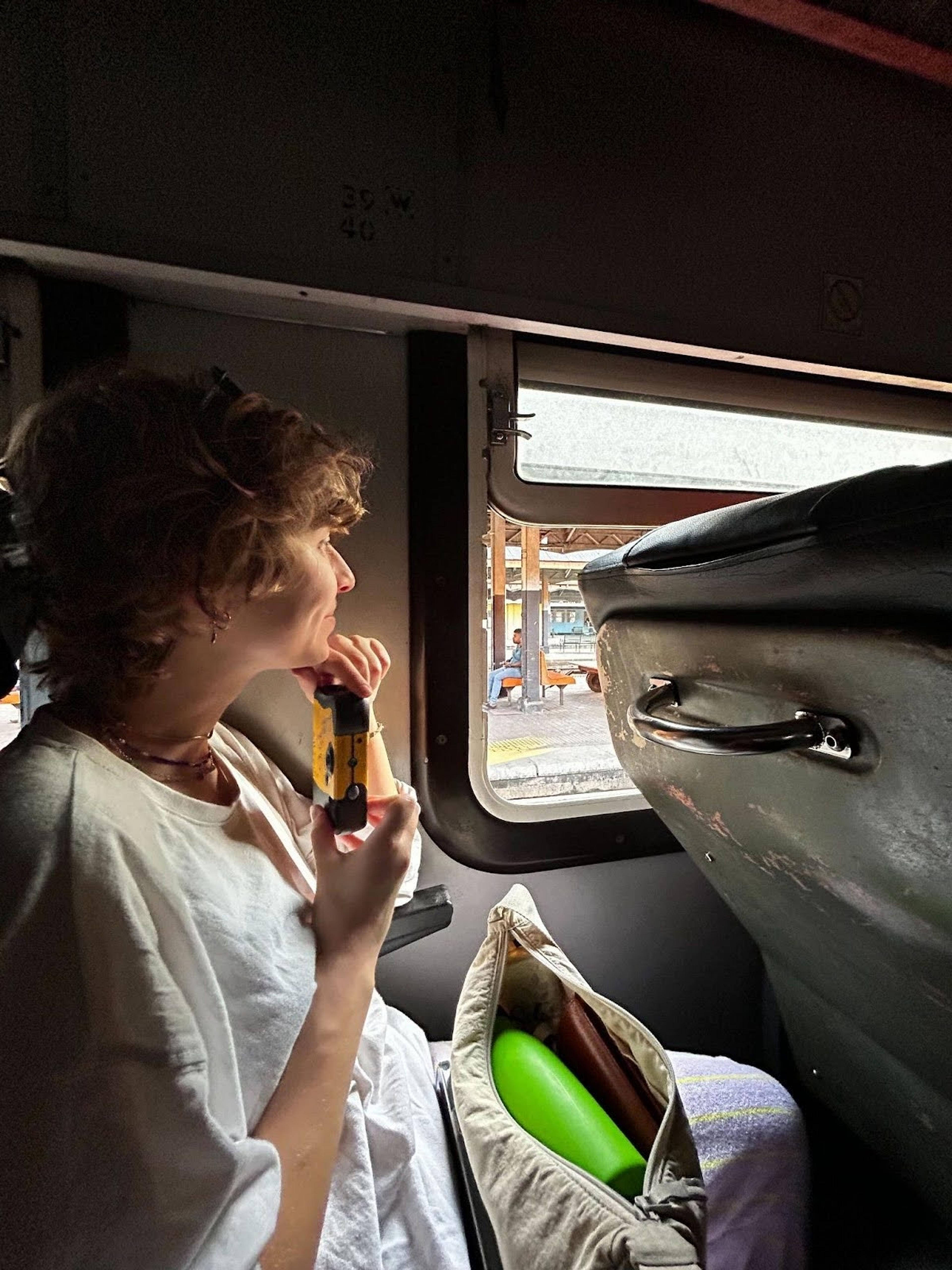 Fran looks out the window of a train