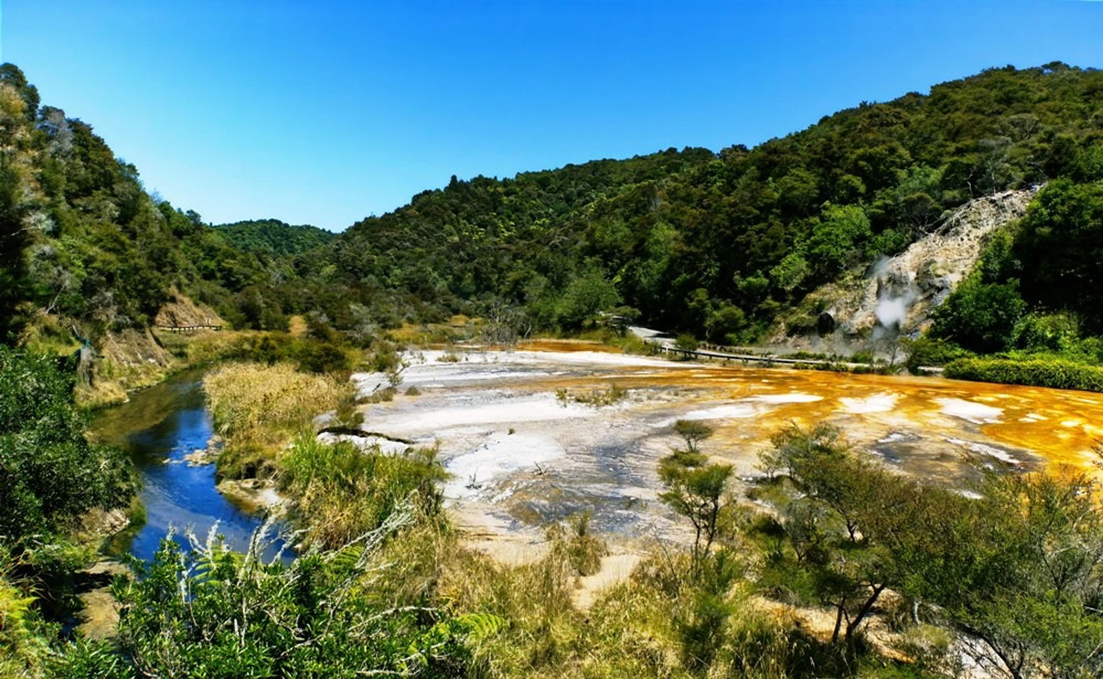 Yellow sulphuric lake surrounded by trees
