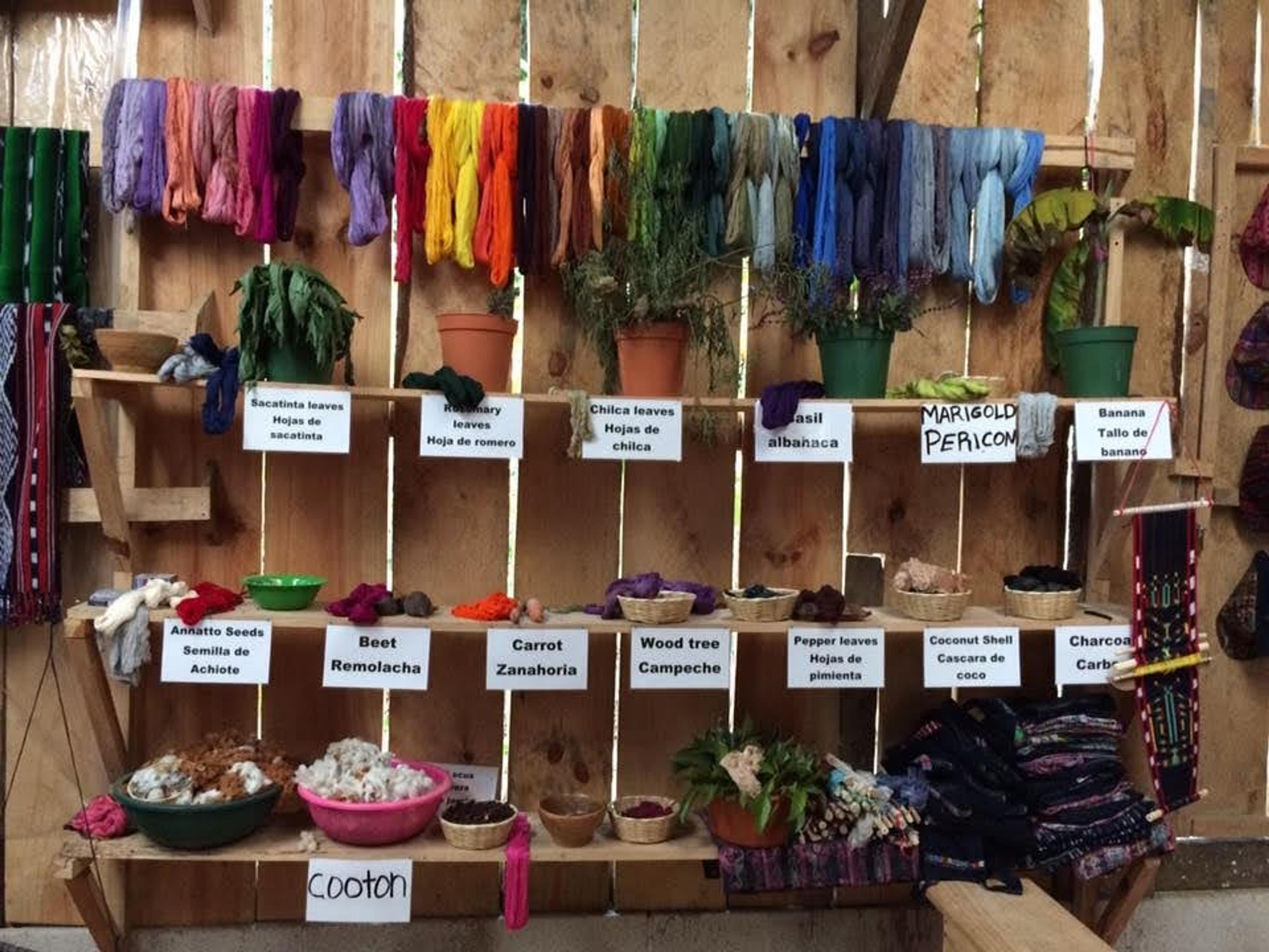 Dyed fabrics and plants used in the process