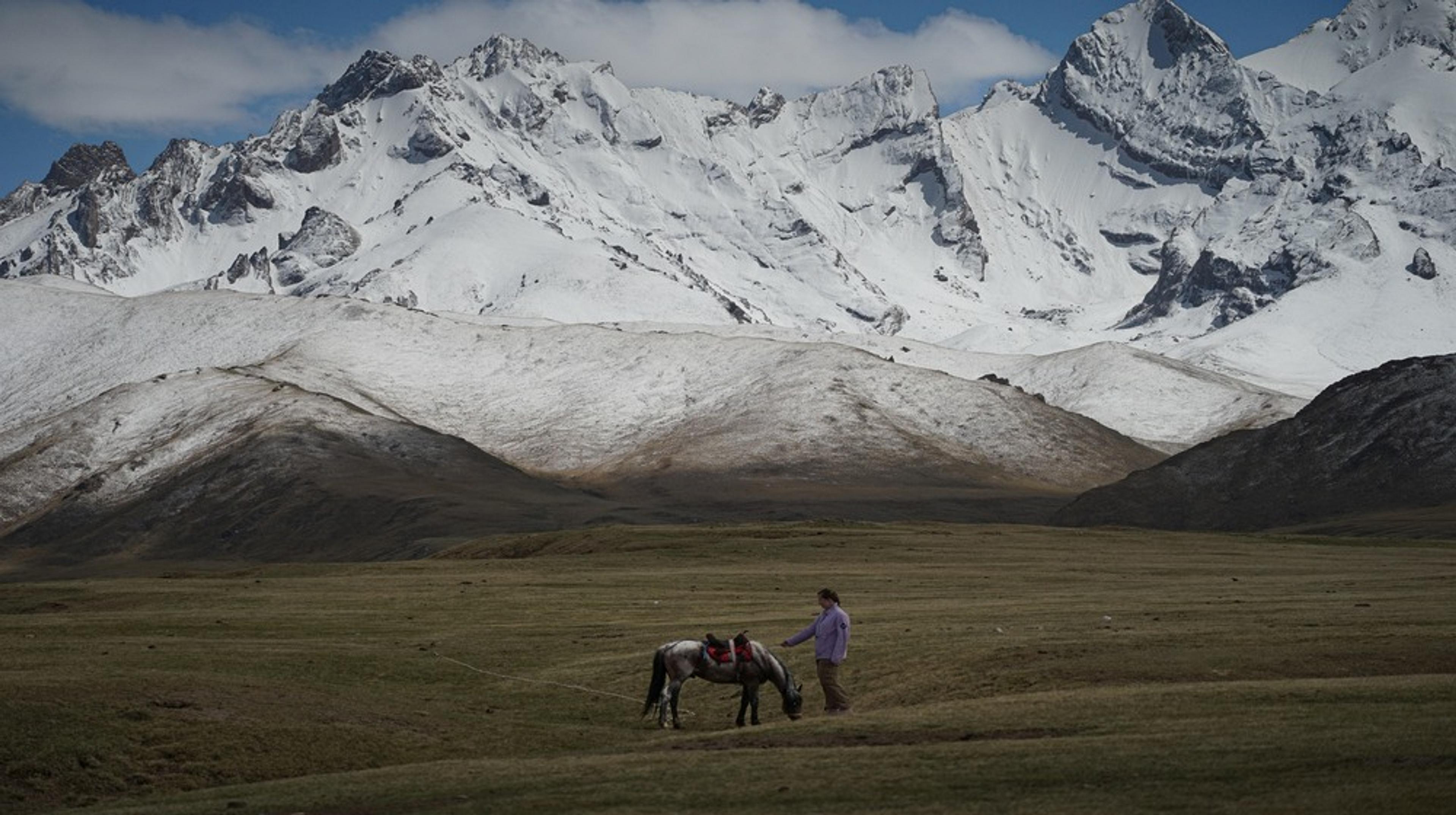 A person walks a horse across the vast grasslands against the stunning backdrop of Kyrgyzstan's snow-capped Tien Shan mountains.